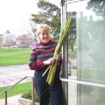 Palm Sunday 2007 8.jpg