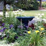 Trinity Prayer Garden B2 034 (6).jpg