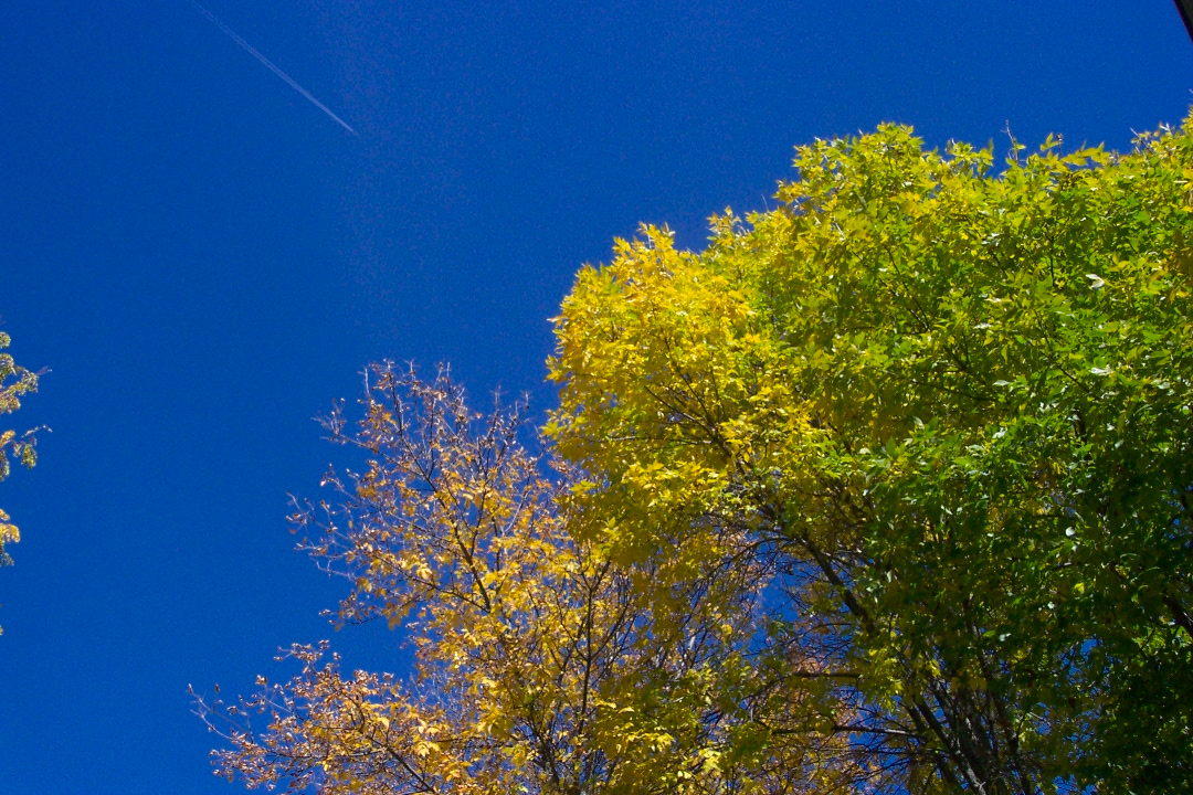 Trinity&Hm10.07.06_2284