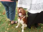 I'm Just A Happy Dog!.JPG