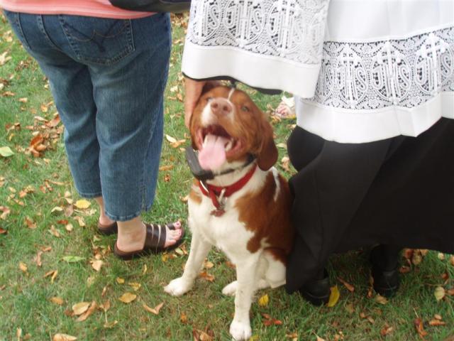I'm Just A Happy Dog!.JPG