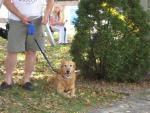 I'm Just Waiting Patiently