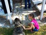That's A Big Dog!