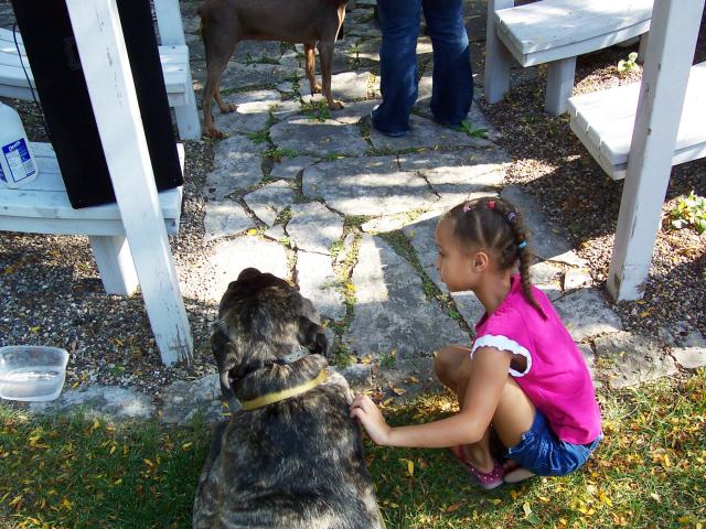 That's A Big Dog!