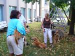 There's Dogs Here!