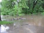 Palmer Park River.jpg