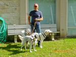 2013 Pet Blessing-1030121.jpg