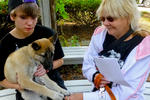 2013 Pet Blessing-1030150.jpg