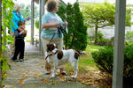 2013 Pet Blessing-1030162.jpg