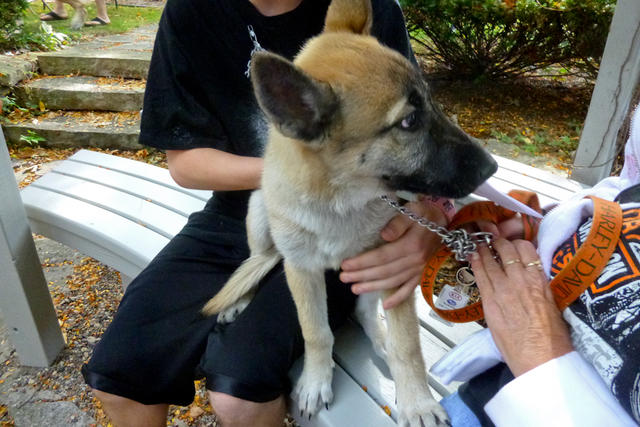 2013 Pet Blessing-1030176.jpg