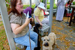 2013 Pet Blessing-1030184.jpg