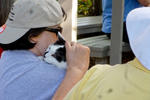 2013 Pet Blessing-1030208.jpg
