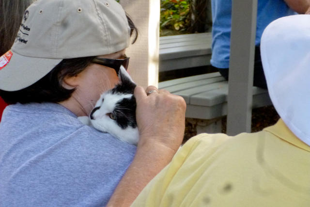 2013 Pet Blessing-1030208.jpg