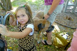 2013 Pet Blessing-1030219.jpg