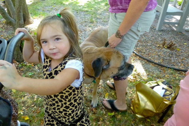 2013 Pet Blessing-1030219.jpg