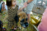 2013 Pet Blessing-1030221.jpg