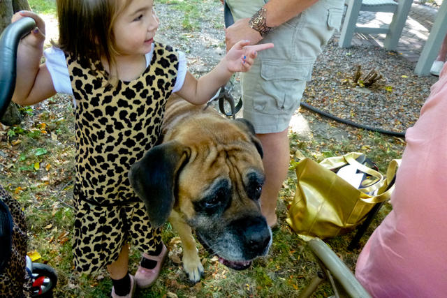 2013 Pet Blessing-1030221.jpg