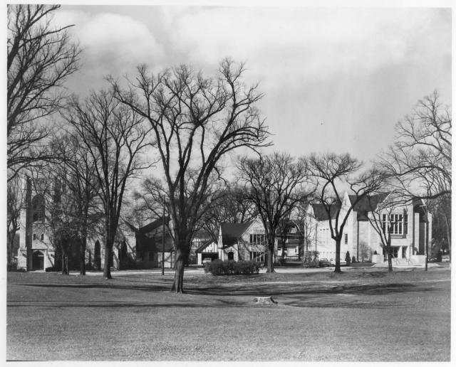 Trinity Complex 1960's